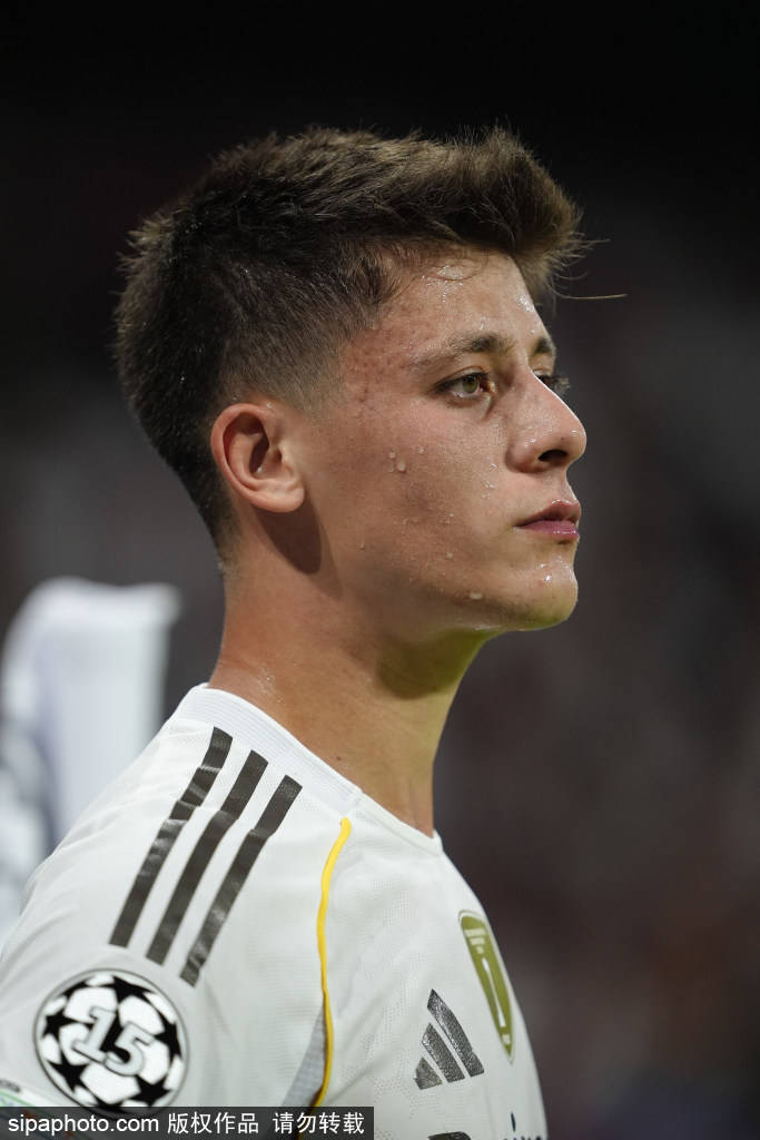 市的肾上腺 市的肾上腺