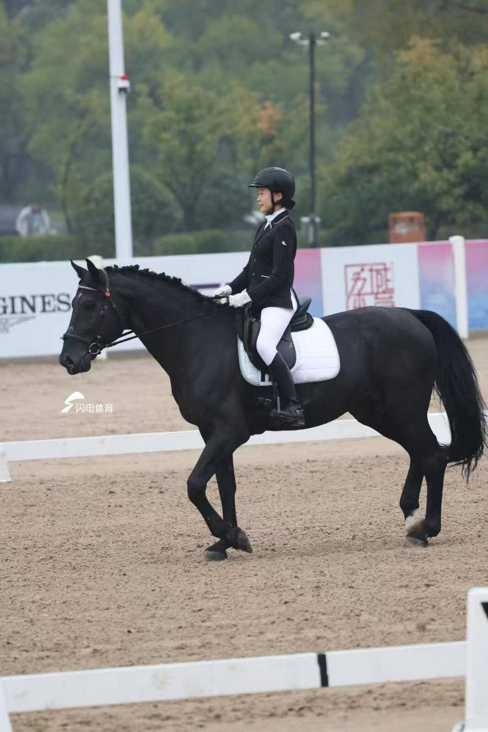 票杯, 给我带了的 票杯, 给我带了的